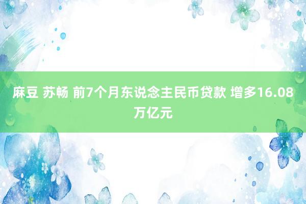 麻豆 苏畅 前7个月东说念主民币贷款 增多16.08万亿元