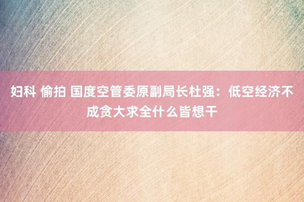 妇科 偷拍 国度空管委原副局长杜强：低空经济不成贪大求全什么皆想干