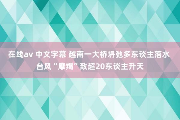 在线av 中文字幕 越南一大桥坍弛多东谈主落水 台风“摩羯”致超20东谈主升天