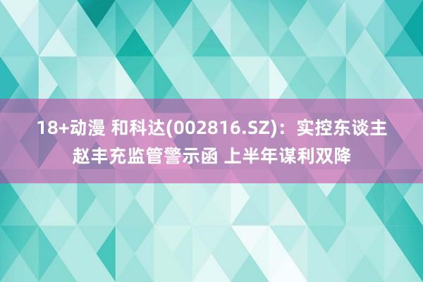 18+动漫 和科达(002816.SZ)：实控东谈主赵丰充监管警示函 上半年谋利双降