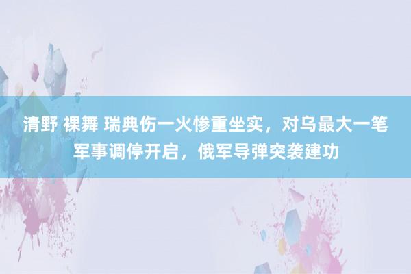 清野 裸舞 瑞典伤一火惨重坐实，对乌最大一笔军事调停开启，俄军导弹突袭建功