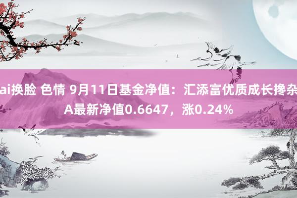 ai换脸 色情 9月11日基金净值：汇添富优质成长搀杂A最新净值0.6647，涨0.24%