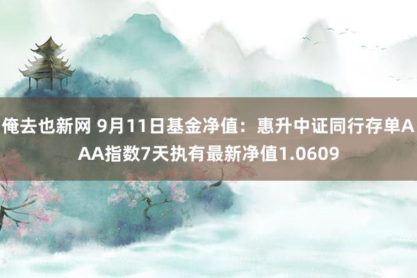 俺去也新网 9月11日基金净值：惠升中证同行存单AAA指数7天执有最新净值1.0609