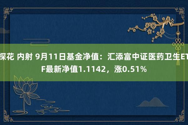 探花 内射 9月11日基金净值：汇添富中证医药卫生ETF最新净值1.1142，涨0.51%