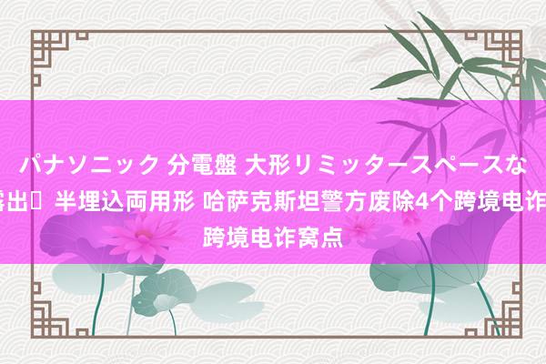 パナソニック 分電盤 大形リミッタースペースなし 露出・半埋込両用形 哈萨克斯坦警方废除4个跨境电诈窝点