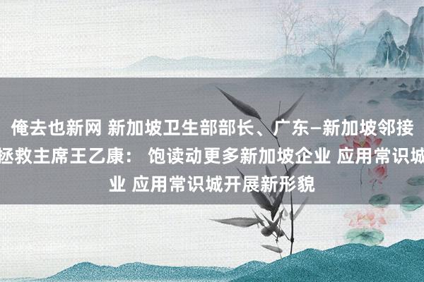 俺去也新网 新加坡卫生部部长、广东—新加坡邻接理事会新方拯救主席王乙康： 饱读动更多新加坡企业 应用常识城开展新形貌