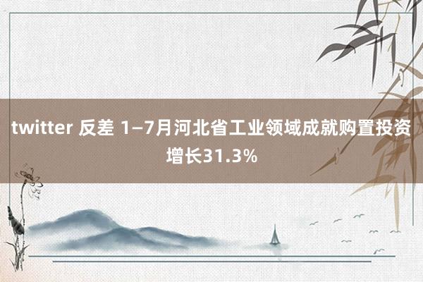 twitter 反差 1—7月河北省工业领域成就购置投资增长31.3%