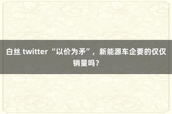 白丝 twitter “以价为矛”，新能源车企要的仅仅销量吗？