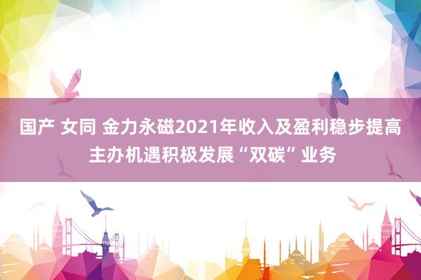 国产 女同 金力永磁2021年收入及盈利稳步提高 主办机遇积极发展“双碳”业务