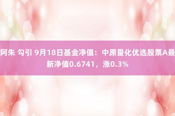 阿朱 勾引 9月18日基金净值：中原量化优选股票A最新净值0.6741，涨0.3%