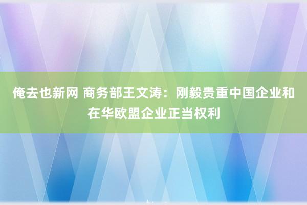 俺去也新网 商务部王文涛：刚毅贵重中国企业和在华欧盟企业正当权利