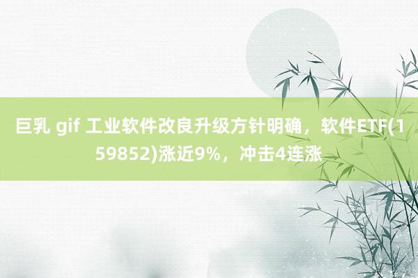 巨乳 gif 工业软件改良升级方针明确，软件ETF(159852)涨近9%，冲击4连涨