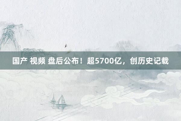 国产 视频 盘后公布！超5700亿，创历史记载