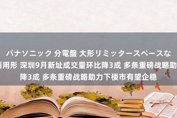 パナソニック 分電盤 大形リミッタースペースなし 露出・半埋込両用形 深圳9月新址成交量环比降3成 多条重磅战略助力下楼市有望企稳