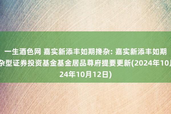 一生酒色网 嘉实新添丰如期搀杂: 嘉实新添丰如期绽开搀杂型证券投资基金基金居品尊府提要更新(2024年10月12日)