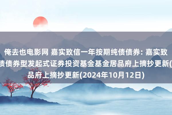 俺去也电影网 嘉实致信一年按期纯债债券: 嘉实致信一年按期洞开纯债债券型发起式证券投资基金基金居品府上摘抄更新(2024年10月12日)