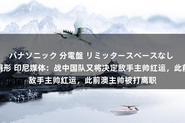 パナソニック 分電盤 リミッタースペースなし 露出・半埋込両用形 印尼媒体：战中国队又将决定敌手主帅红运，此前澳主帅被打离职