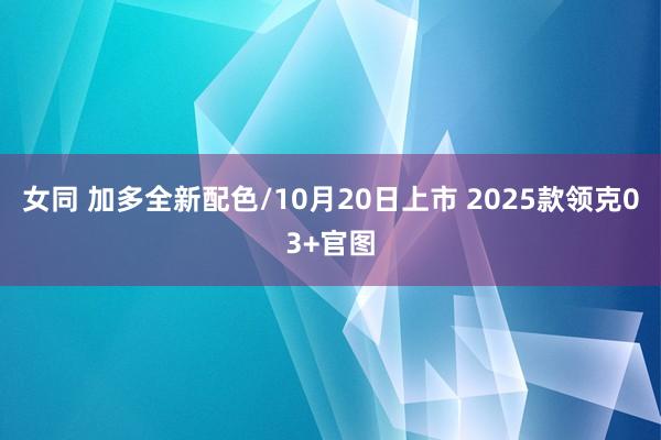 女同 加多全新配色/10月20日上市 2025款领克03+官图