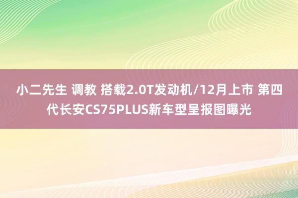 小二先生 调教 搭载2.0T发动机/12月上市 第四代长安CS75PLUS新车型呈报图曝光