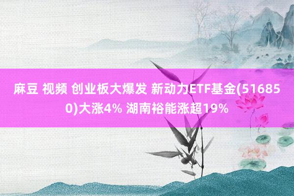 麻豆 视频 创业板大爆发 新动力ETF基金(516850)大涨4% 湖南裕能涨超19%