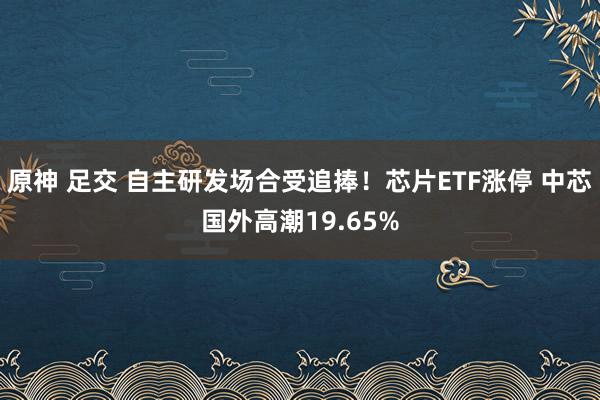 原神 足交 自主研发场合受追捧！芯片ETF涨停 中芯国外高潮19.65%