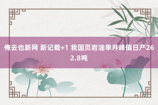 俺去也新网 新记载+1 我国页岩油单井峰值日产262.8吨