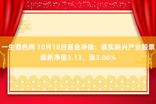 一生酒色网 10月18日基金净值：嘉实新兴产业股票最新净值3.13，涨3.06%