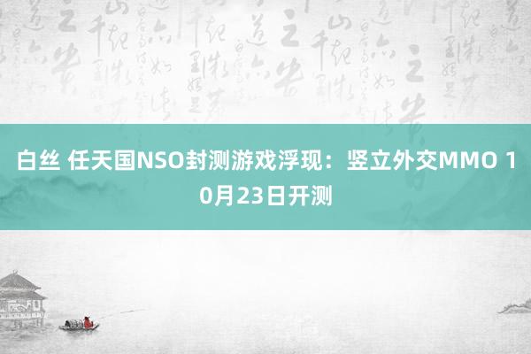 白丝 任天国NSO封测游戏浮现：竖立外交MMO 10月23日开测