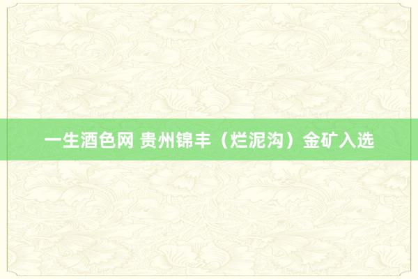 一生酒色网 贵州锦丰（烂泥沟）金矿入选