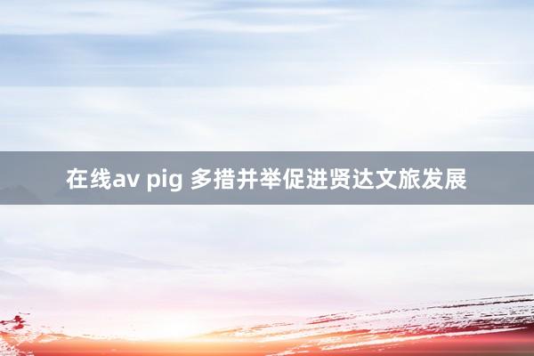 在线av pig 多措并举促进贤达文旅发展