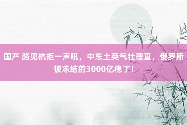 国产 路见抗拒一声吼，中东土英气壮理直，俄罗斯被冻结的3000亿稳了！