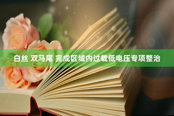 白丝 双马尾 完成区域内过载低电压专项整治