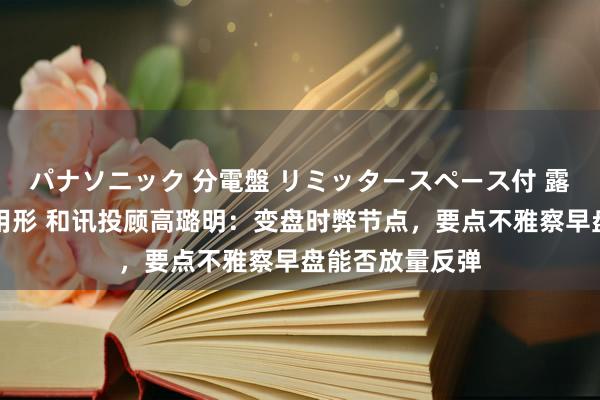 パナソニック 分電盤 リミッタースペース付 露出・半埋込両用形 和讯投顾高璐明：变盘时弊节点，要点不雅察早盘能否放量反弹