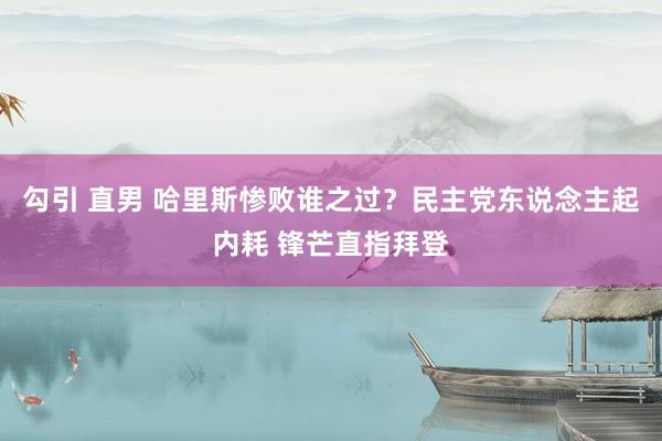 勾引 直男 哈里斯惨败谁之过？民主党东说念主起内耗 锋芒直指拜登