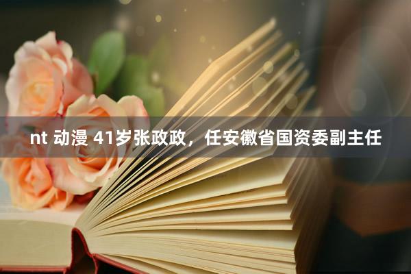 nt 动漫 41岁张政政，任安徽省国资委副主任