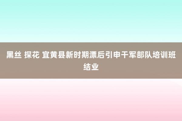 黑丝 探花 宜黄县新时期漂后引申干军部队培训班结业