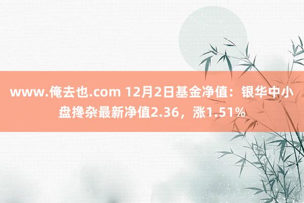 www.俺去也.com 12月2日基金净值：银华中小盘搀杂最新净值2.36，涨1.51%