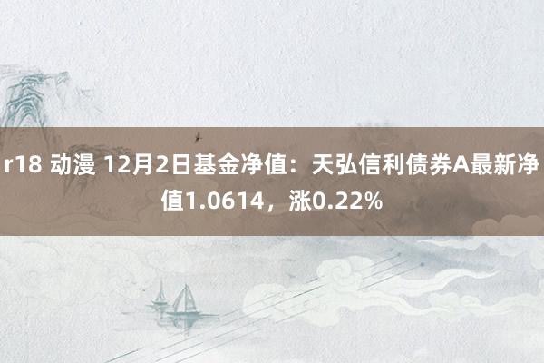 r18 动漫 12月2日基金净值：天弘信利债券A最新净值1.0614，涨0.22%