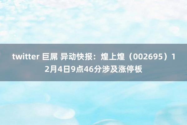 twitter 巨屌 异动快报：煌上煌（002695）12月4日9点46分涉及涨停板