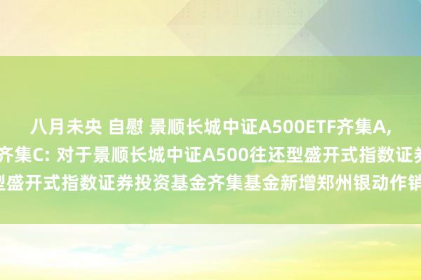 八月未央 自慰 景顺长城中证A500ETF齐集A，景顺长城中证A500ETF齐集C: 对于景顺长城中证A500往还型盛开式指数证券投资基金齐集基金新增郑州银动作销售机构的公告