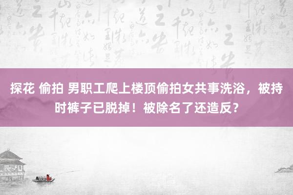 探花 偷拍 男职工爬上楼顶偷拍女共事洗浴，被持时裤子已脱掉！被除名了还造反？