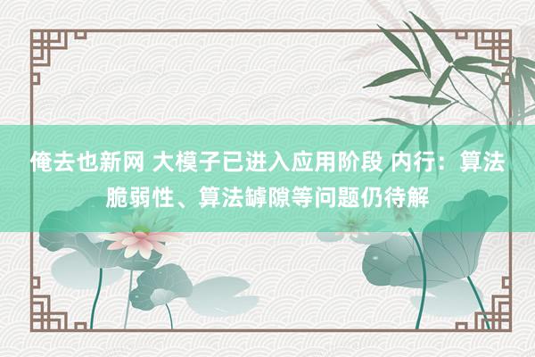 俺去也新网 大模子已进入应用阶段 内行：算法脆弱性、算法罅隙等问题仍待解