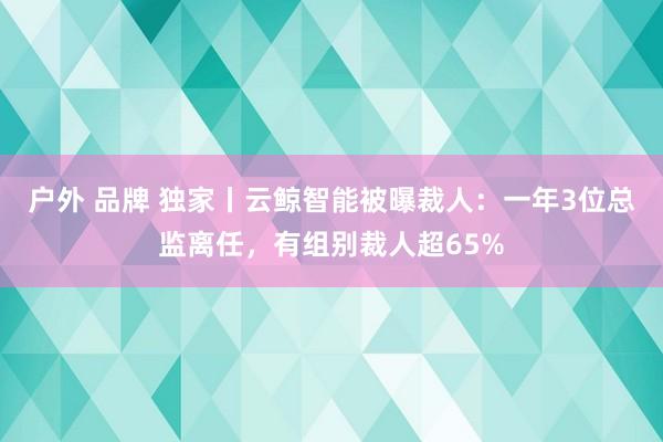 户外 品牌 独家丨云鲸智能被曝裁人：一年3位总监离任，有组别裁人超65%