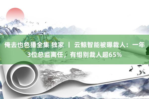 俺去也色播全集 独家 丨 云鲸智能被曝裁人：一年3位总监离任，有组别裁人超65%