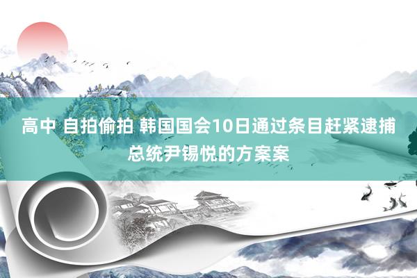 高中 自拍偷拍 韩国国会10日通过条目赶紧逮捕总统尹锡悦的方案案