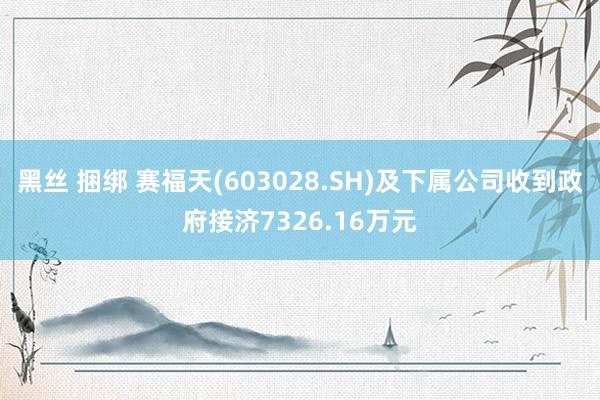 黑丝 捆绑 赛福天(603028.SH)及下属公司收到政府接济7326.16万元