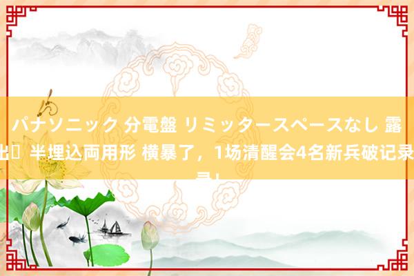 パナソニック 分電盤 リミッタースペースなし 露出・半埋込両用形 横暴了，<a href=