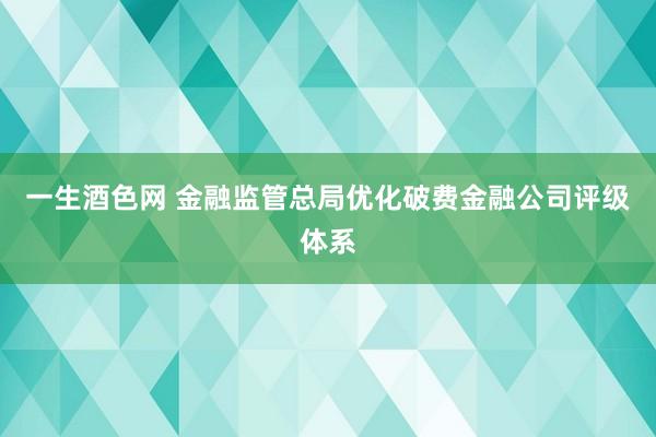 一生酒色网 金融监管总局优化破费金融公司评级体系