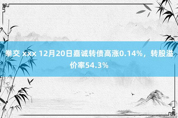 拳交 xxx 12月20日嘉诚转债高涨0.14%，转股溢价率54.3%