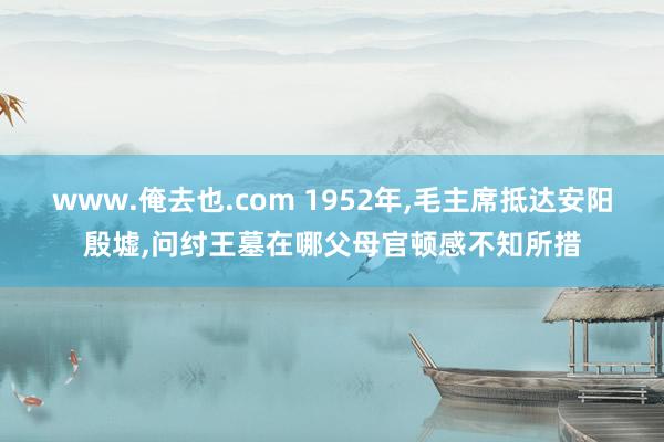 www.俺去也.com 1952年，毛主席抵达安阳殷墟，问纣王墓在哪父母官顿感不知所措